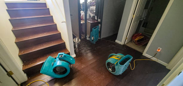 Best Fire Damage Restoration  in Fitzgerald, GA