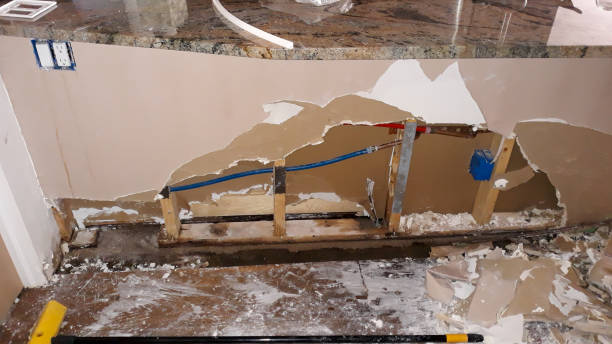Best Local water damage restoration  in Fitzgerald, GA