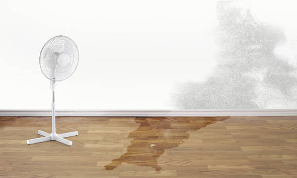 Best Commercial water damage restoration  in Fitzgerald, GA