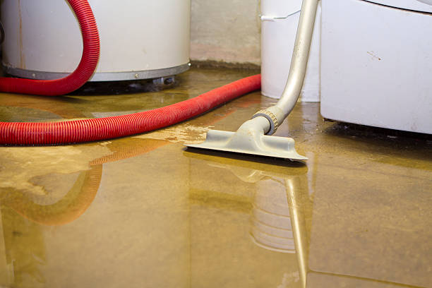 Best 24-hour water damage restoration  in Fitzgerald, GA
