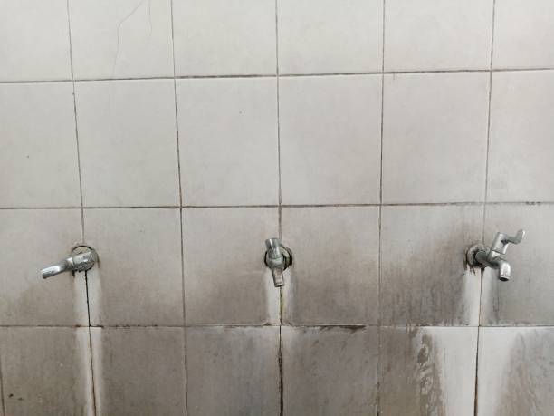 Best Water damage cleanup near me  in Fitzgerald, GA