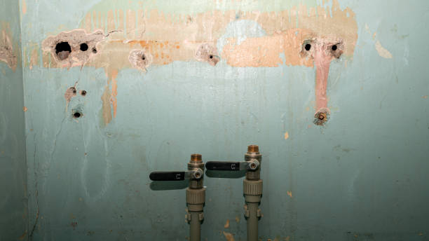 Best Fire Damage Restoration  in Fitzgerald, GA