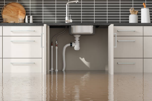 Best Emergency water damage restoration  in Fitzgerald, GA