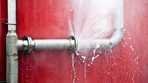 Best Mold removal after water damage  in Fitzgerald, GA